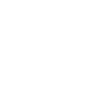 Project Engineer